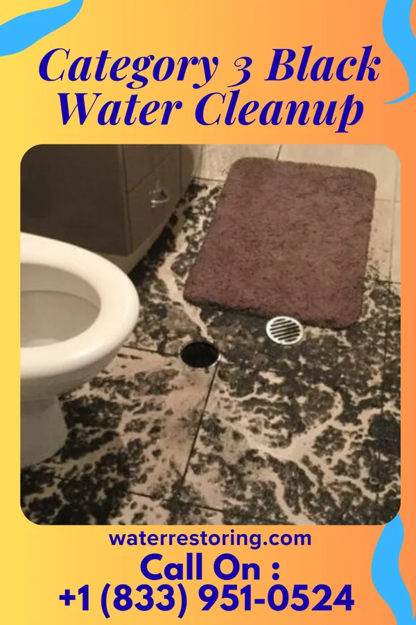 Category 3 Black Water Cleanup in Lake Wylie, SC