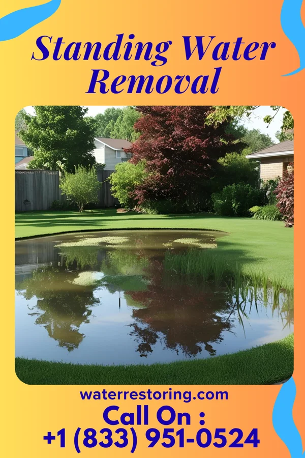 Standing Water Removal in Lake Wylie, SC